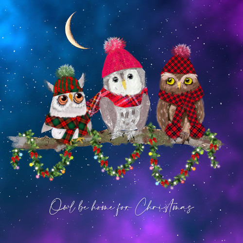 Owl be home for xmas