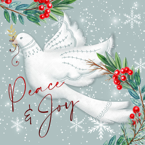 Joyous Dove - Large Christmas Card Pack