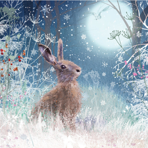 *Moonlight Hare - Small Christmas Card Pack