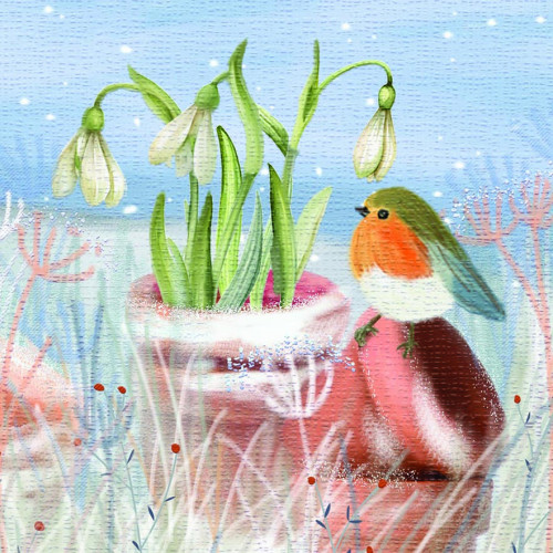 Wintertime Snowdrops - Large Christmas Card Pack 