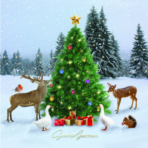 Forest Animals - Small Christmas Card Pack