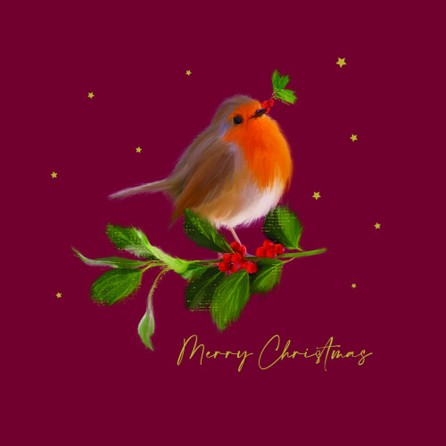 Friendly Robin - Large Christmas Card Pack