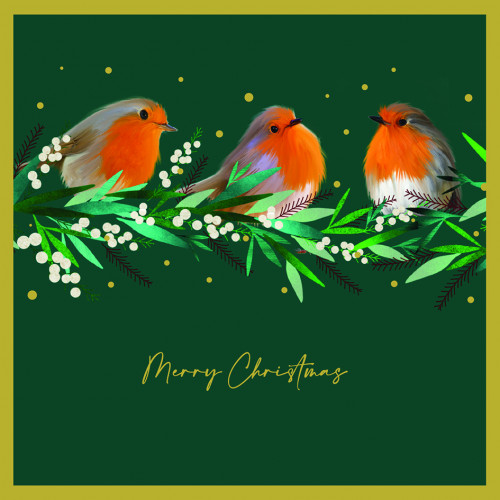 Robins and Holly - Large Christmas Card Pack