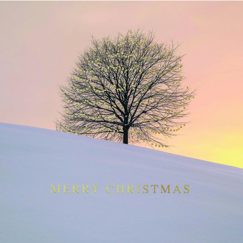 A Sunset Tree - Large Christmas Card Pack 