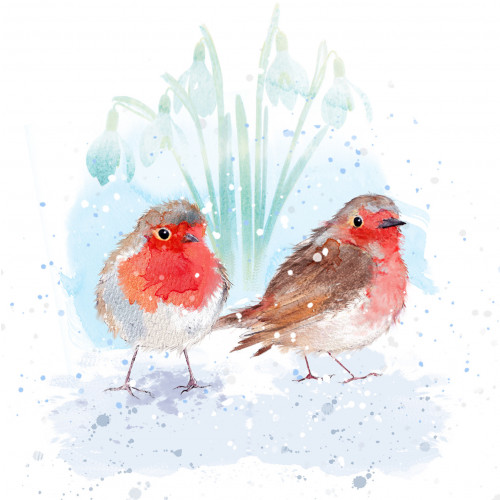 Robins - Small Christmas Card Pack
