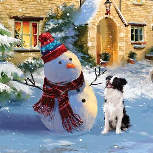 Snowy Friends - Large Christmas Card Pack (