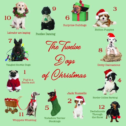 12 Dogs of Christmas