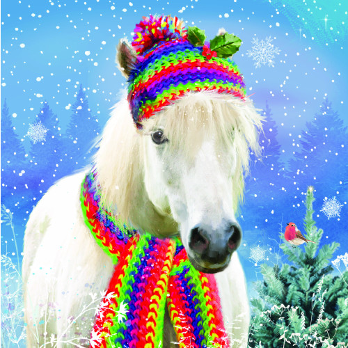 Rainbow hat pony