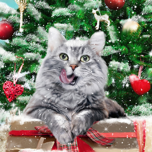 *Christmas Cat - Small Christmas Card Pack