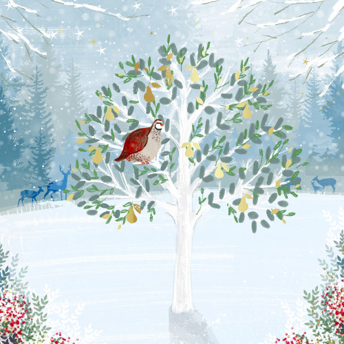 *Partridge In A Pear Tree - Small Christmas Card Pack