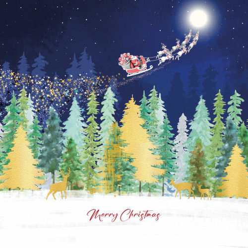 Flying Santa - Large Metallic Christmas Card Pack