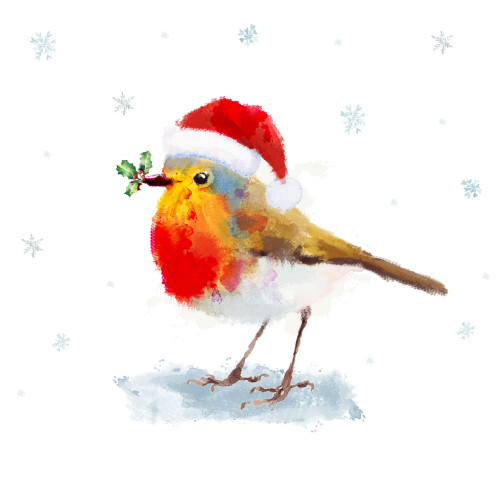 *Watercolour Robin - Small Christmas Card Pack