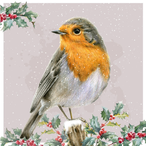 Gazing Robin - Small Christmas Card Pack