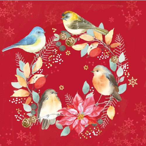 *Robins Friends - Small Christmas Card Pack