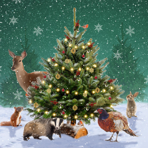 *Around The Tree - Small Christmas Card Pack
