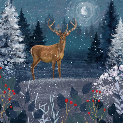 *Midnight Stag - Small Christmas Card Pack