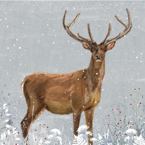Stag - Small Christmas Card Pack