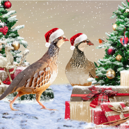 *Christmas Pheasants - Small Christmas Card Pack