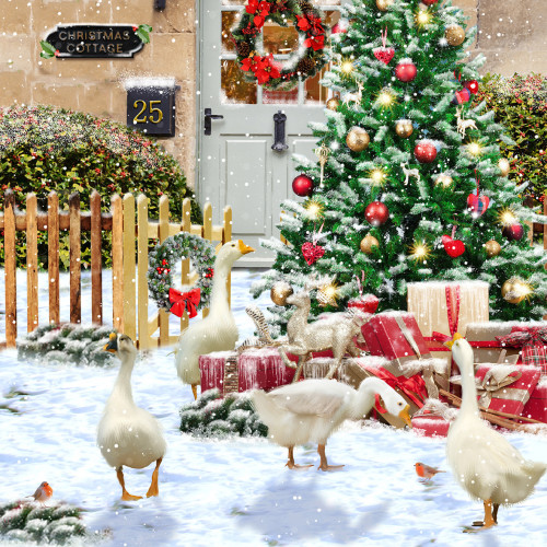 *Geese In The Garden - Small Christmas Card Pack