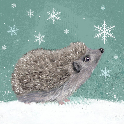 Snowflake Hedgehog - Small Christmas Card Pack
