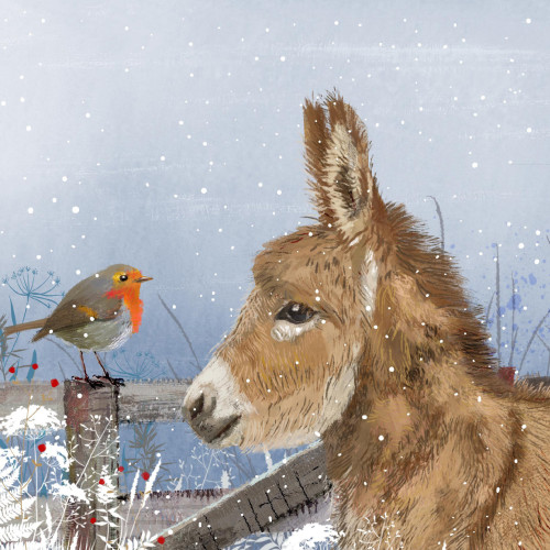 *Donkey and Robin - Small Christmas Card Pack