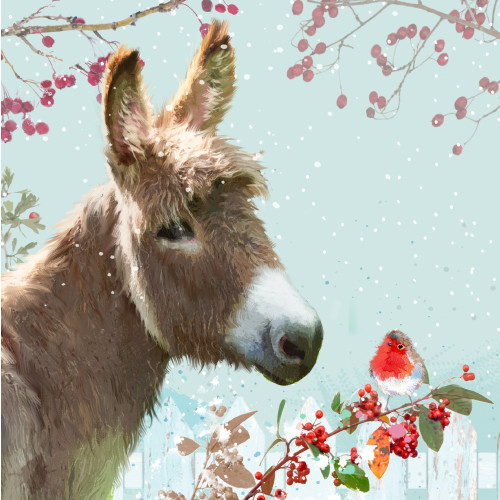 Cute Donkey - Small Christmas Card Pack