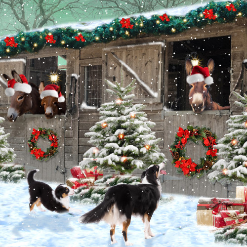 *Donkey Stables - Small Christmas Card Pack