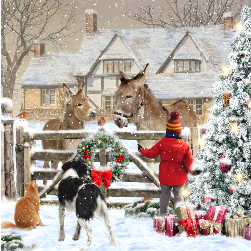 *Donkey And Friends - Small Christmas Card Pack