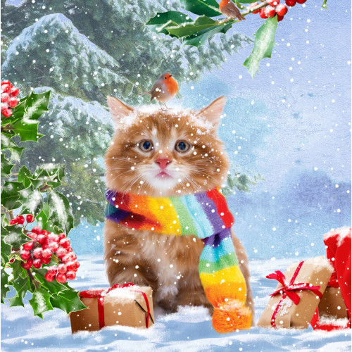 Wrapped Up Kitten - Small Christmas Card Pack