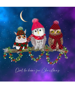 Owl be home for Christmas