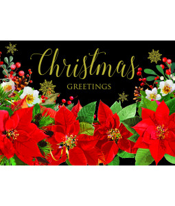 Festive Poinsettia - Christmas Card Pack
