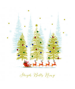 Santa's Festive Sleigh - Small Christmas Card Pack 