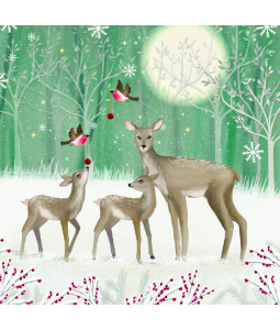 A Christmas Family - Large Christmas Card Pack