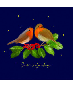 Festive Robins - Large Christmas Card Pack