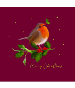 Friendly Robin - Small Christmas Card Pack 