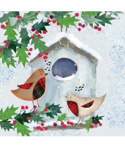 Robin Bird House - Large Christmas Card Pack
