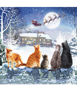 Neighbourhood Watch - Small Christmas Card Pack
