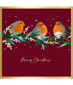 Robins and Holly - Large Metallic Christmas Card Pack