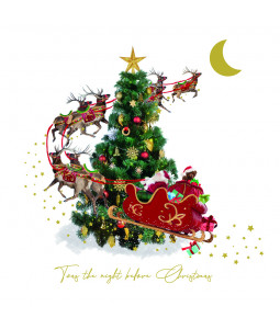 Flying around the Tree - Large Christmas Card Pack 