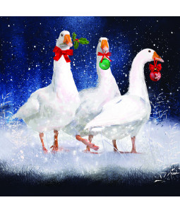 Festive Geese - Large Christmas Card Pack
