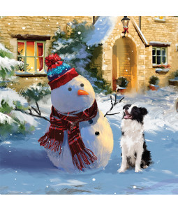 Snowy Friends - Large Christmas Card Pack (