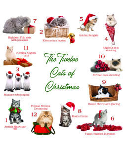 12 cats of Christmas