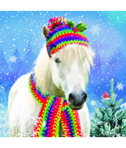 Rainbow hat pony