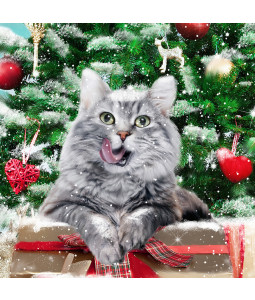 *Christmas Cat - Small Christmas Card Pack