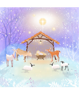 *Animals Rejoice - Small Christmas Card Pack