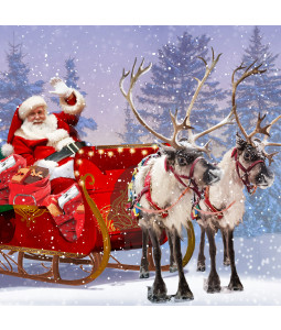 Santa's Greeting - Large Christmas Card Pack