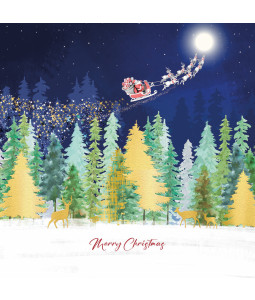 *Flying Santa - Large Metallic Christmas Card Pack