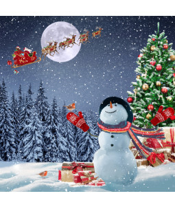 *Snowman Wave - Small Christmas Card Pack