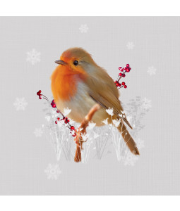 *Majestic Robin - Small Christmas Card Pack