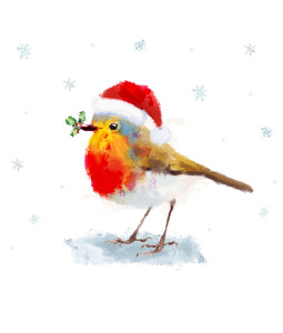 Watercolour Robin - Large Christmas Card Pack